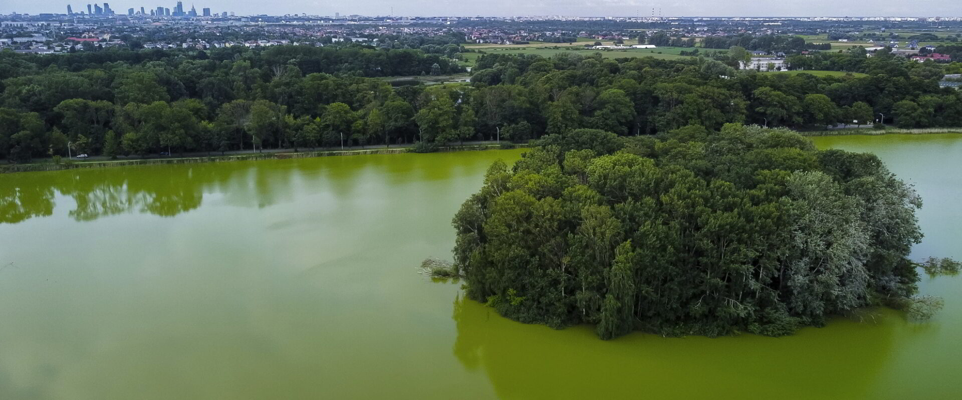 Pomóż nam ochronić FALENTY

Help us save FALENTY