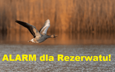 SOS: Rozpoczyna się wyprzedaż Rezerwatu