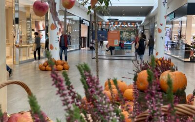 Najlepsze fotografie z Rezerwatu w CH Janki *  The beauty of the Falenty Nature in the Janki Shopping Center