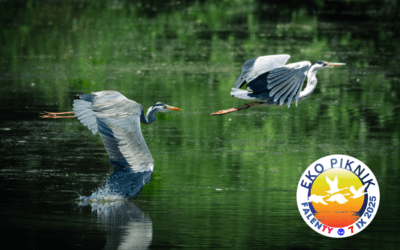 Laureaci Konkursu Fotograficznego „Mistrzowskie zdjęcie z rezerwatu” * Winners of the Photo Competition „Master Photo from the Nature Reserve”