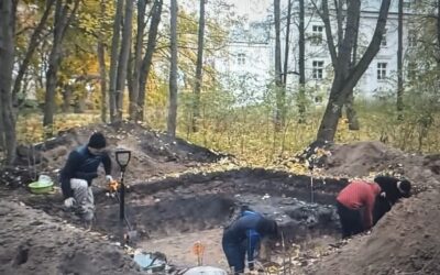 Ponowne badania archeologów * New Archeo Excavations in Falenty