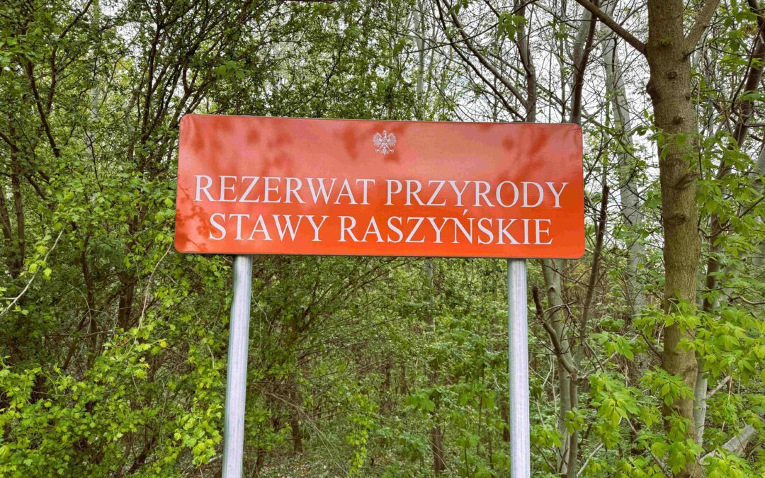 Uwagi do projektu Planu ochrony dla rezerwatu * Draft Protection Plan for the „Stawy Raszyńskie” Reserve