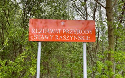 Uwagi do projektu Planu ochrony dla rezerwatu * Draft Protection Plan for the „Stawy Raszyńskie” Reserve